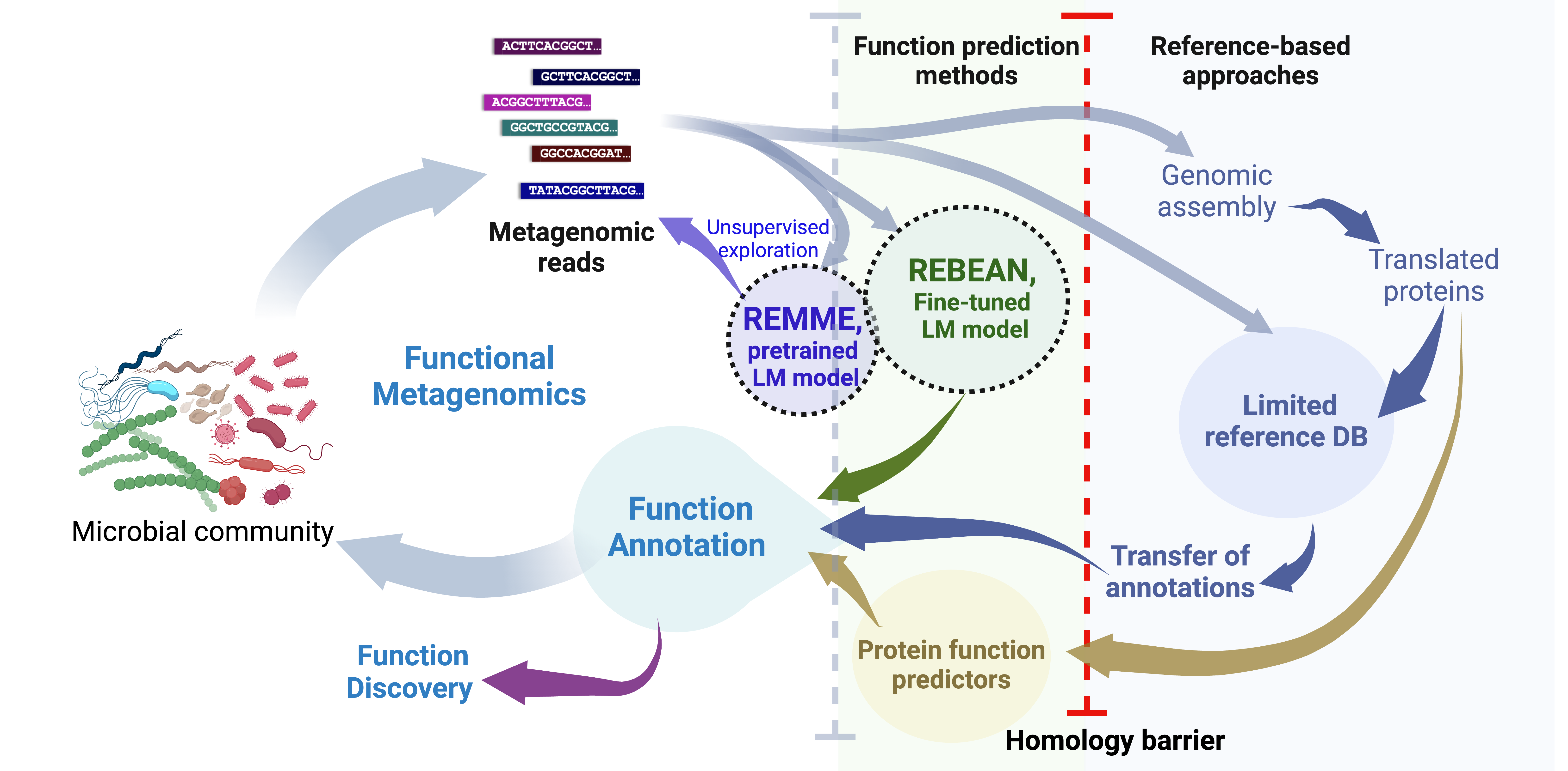 REBEAN graphical abstract